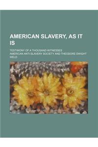 American Slavery, as It Is; Testimony of a Thousand Witnesses