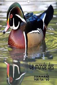 Le monde des canards 2018
