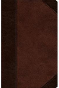 Ultrathin Bible-ESV-Portfolio Design: English Standard Version, Trutone, Brown/Walnut, Portfolio Design, Ultrathin Bible