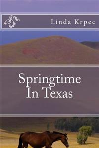 Springtime In Texas