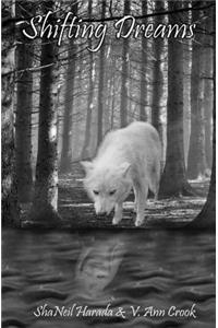 Shifting Dreams