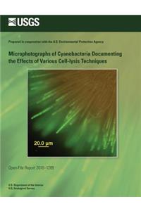 Microphotographs of Cyanobacteria Documenting the Effects of Various Cell-lysis Techniques