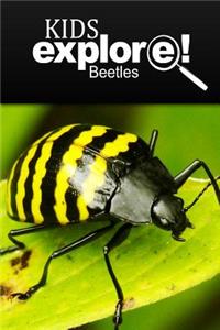 Beetles - Kids Explore
