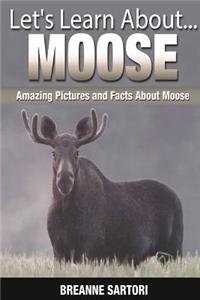 Moose