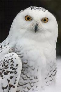 Snowy Owl Journal