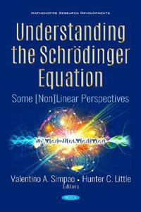 Understanding the Schroedinger Equation