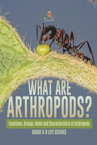 What are Arthropods? Functions, Groups, Roles and Characteristics of Arthropods Grade 6-8 Life Science