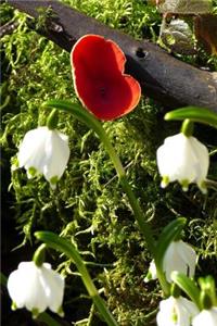 A Scarlet Elf Cup and White Snowdrop Flowers Journal