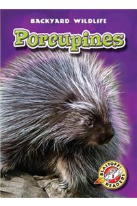 Porcupines