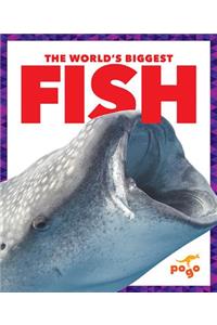 World's Biggest Fish