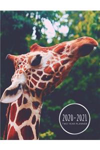 Two Year Planner 2020-2021