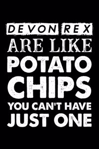 Devon Rex Are Like Potato Chips You Can't Have Just One