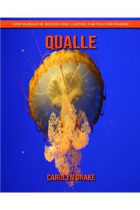 Qualle