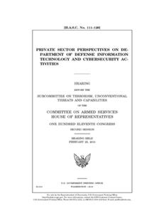 Private sector perspectives on Department of Defense information technology and cybersecurity activities