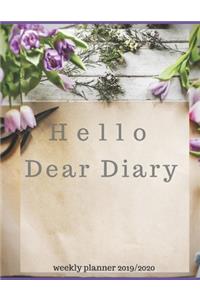 hello dear diary