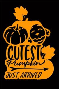 Cutest Pumpkin Just Arrived