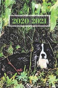 Black and White Australian Sheep Dog Dated Calendar Planner 2 years To-Do Lists, Tasks, Notes Appointments
