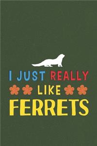 I Just Really Like Ferrets