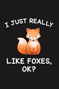 I Just Really Like Foxes Ok
