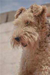 Fluffy Airedale Terrier Journal