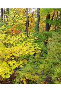 School Composition Book Fall Season Yellow Leaves 130 Pages