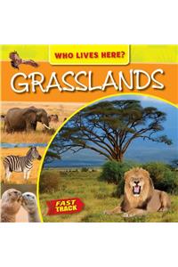 Grasslands