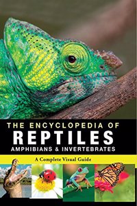 Encyclopedia of Animals - Reptiles