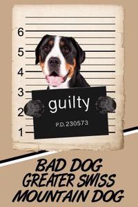Bad Dog Greater Swiss Mountain Dog