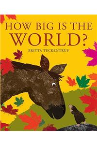 How Big is the World?