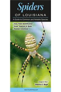 Spiders of Louisiana