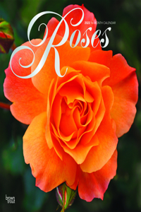Roses 2023 Square Foil