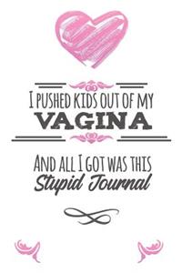 I Pushed Kids Out Of My Vagina And All I Got Was This Stupid Journal: Parenting Lined Notebook Gift