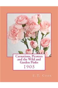 Carnations, Picotees and the Wild and Garden Pinks