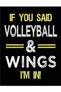 If You Said Volleyball & Wings I'm in