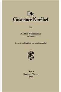 Die Gasteiner Kurfibel