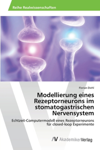 Modellierung eines Rezeptorneurons im stomatogastrischen Nervensystem