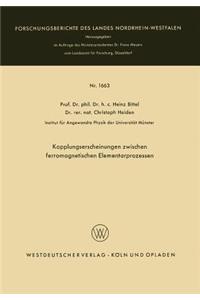Kopplungserscheinungen zwischen ferromagnetischen Elementarprozessen
