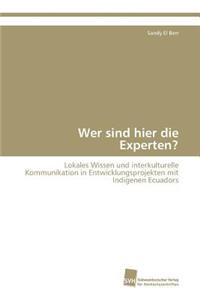 Wer sind hier die Experten?