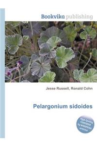 Pelargonium Sidoides