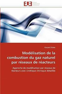 Modélisation de la combustion du gaz naturel par réseaux de réacteurs