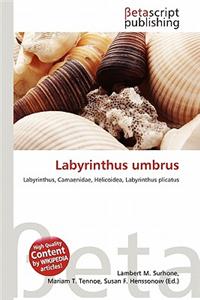 Labyrinthus Umbrus