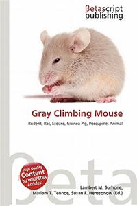 Gray Climbing Mouse