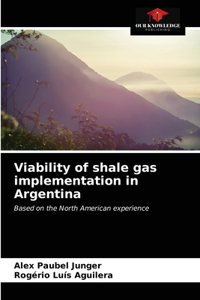 Viability of shale gas implementation in Argentina