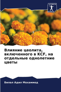 Влияние цеолита, включенного в Kcf, на отдель