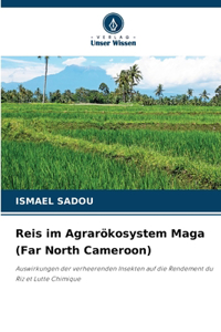 Reis im Agrarökosystem Maga (Far North Cameroon)