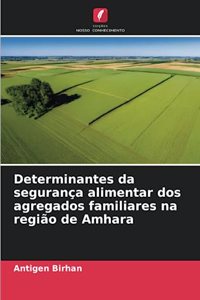 Determinantes da segurança alimentar dos agregados familiares na região de Amhara