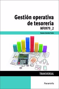 Gestion operativa de tesoreria