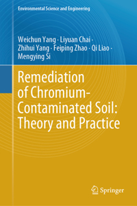 Remediation of Chromium-Contaminated Soil: ​theory and Practice​