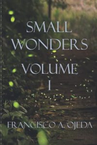 Small Wonders I