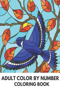 Adult Color By Number Coloring Book